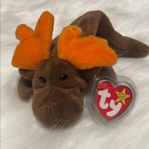Moose beanie baby